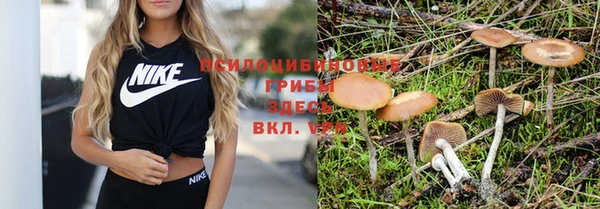 прущие крисы Абдулино